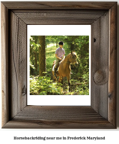 horseback riding near me in Frederick, Maryland